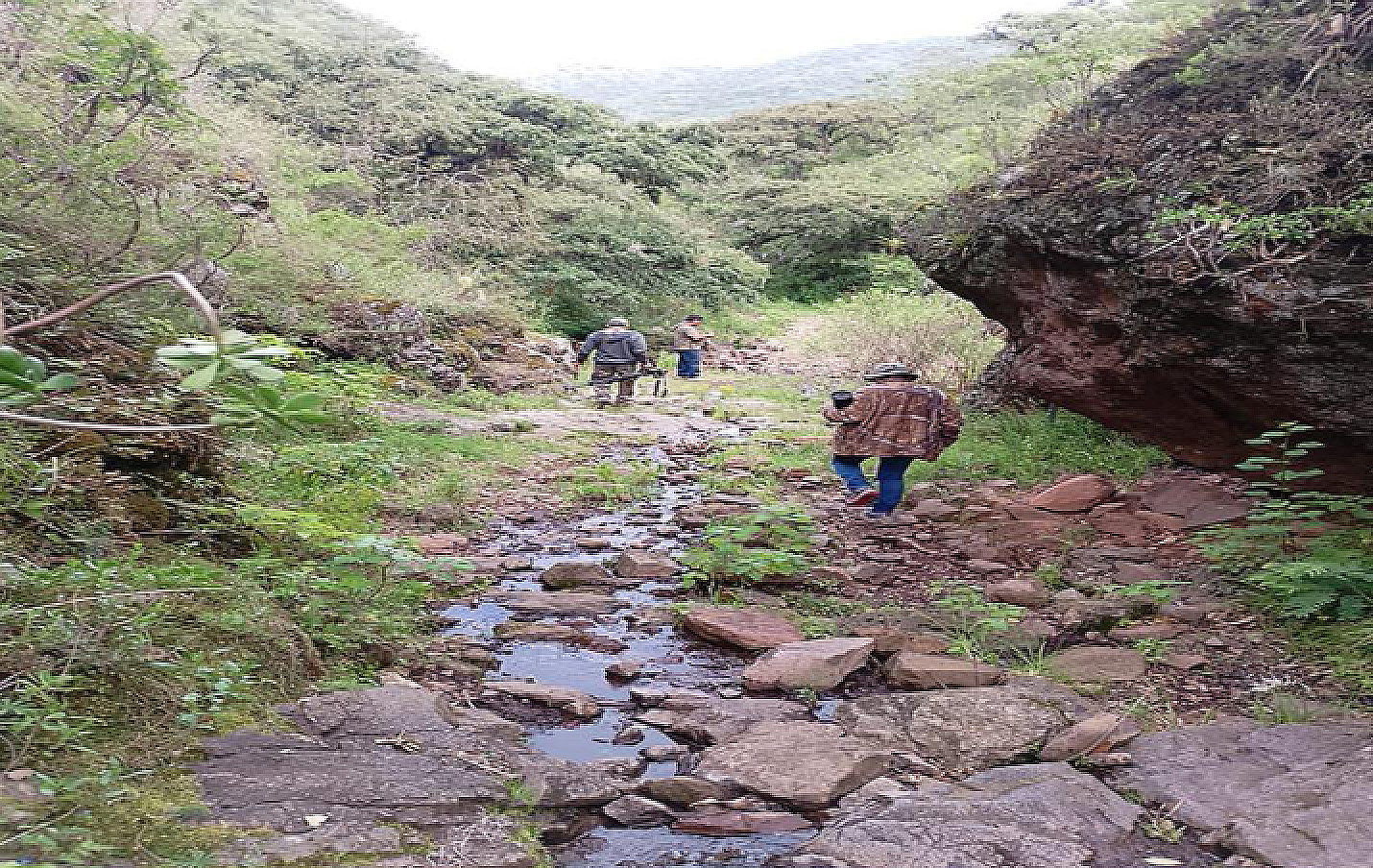 SENDERO CAMINO REAL