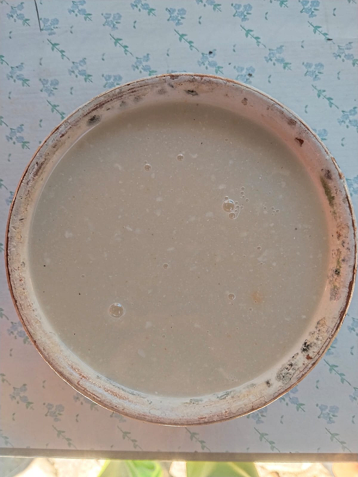 Atole de granillo.